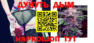мдпв Будённовск