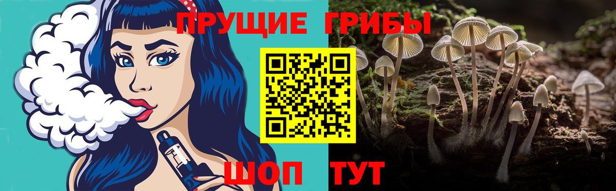 Рязань  Псилоцибиновые грибы Psilocybe  Вход с VPN 